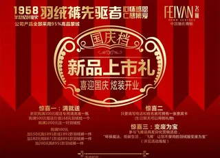 飞雁羽绒裤海报图片