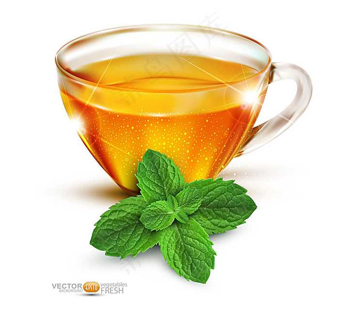 矢量薄荷茶