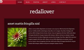 枣红色日志信息网页模板