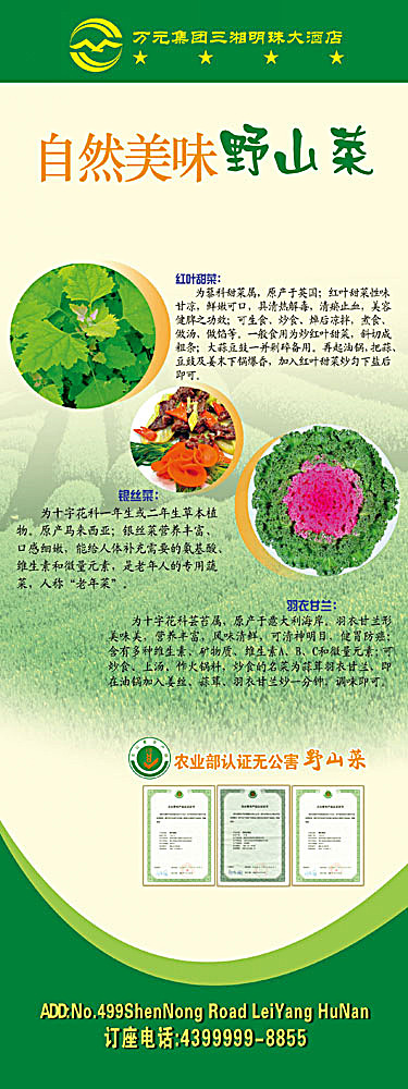 酒店菜谱模板psd模版下载
