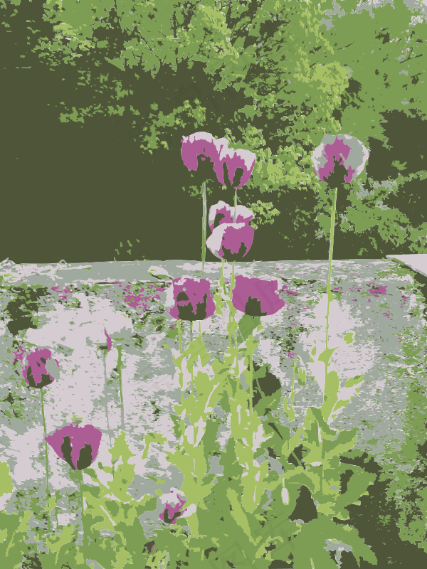 原aiflowers 137