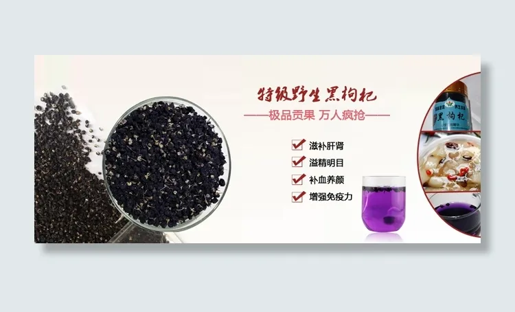 黑枸杞海报psd模版下载