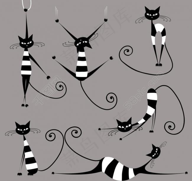 小猫 猫咪图片