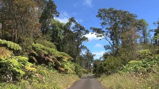 在火山村股票视频夏威夷路