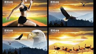 团结进取企业文化展板设计PSD素材