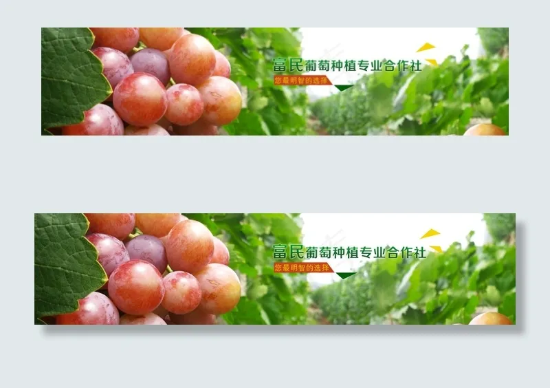 酸甜葡萄水果psd素材免费下载psd模版下载