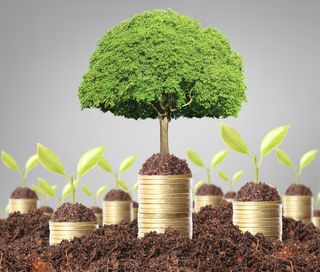 金币嫩芽小树苗孵化培育理财商务金融财富主题素材