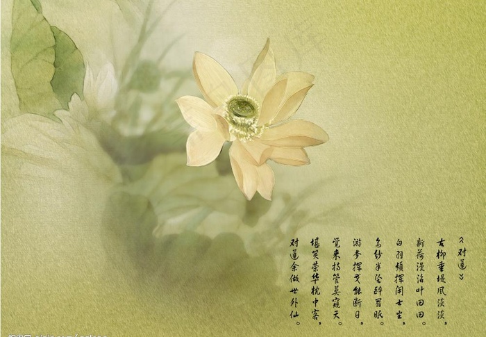 国画荷花背景图片