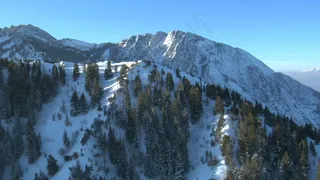 雪山4股票的录像 视频免费下载