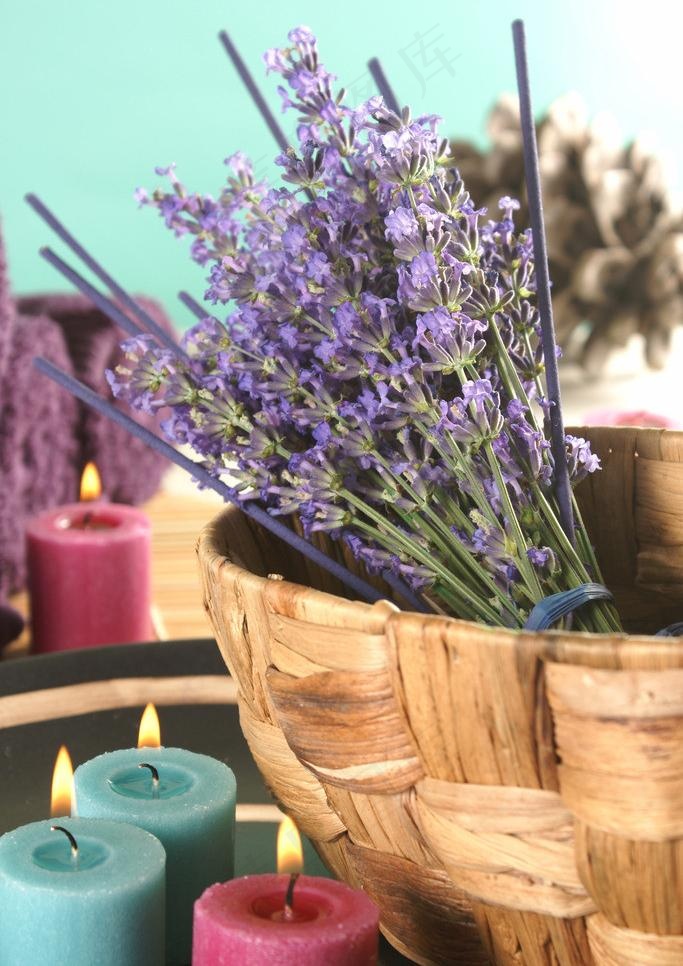 薰衣草療法图片