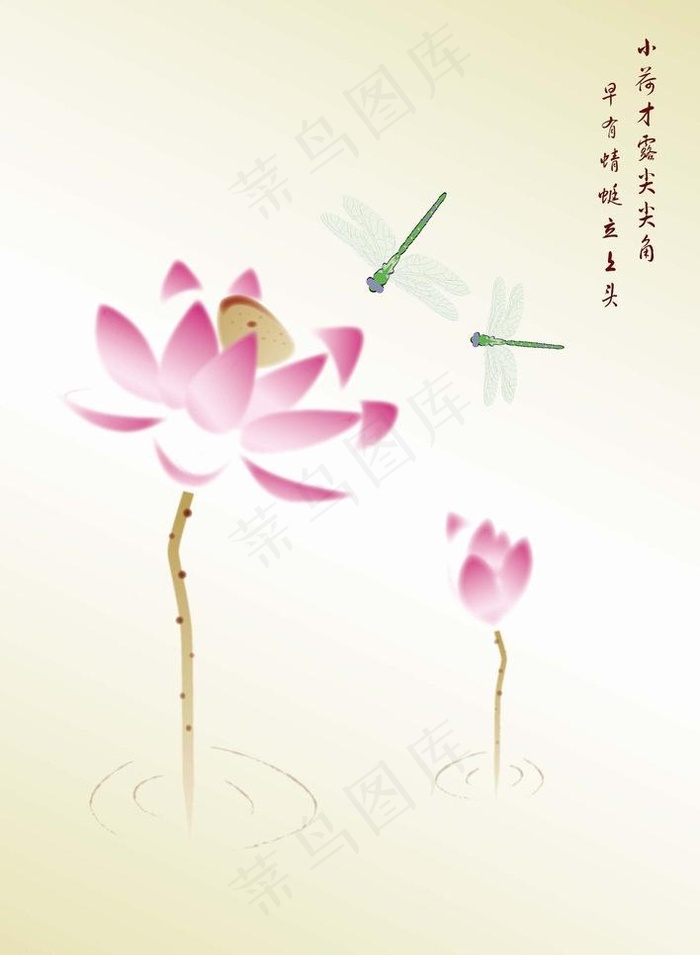 国画荷花图片ai矢量模版下载