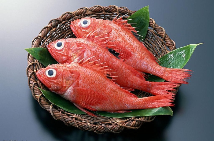 海洋生物海鲜 红鱼图片