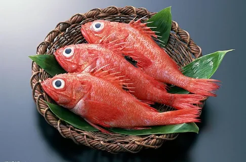 海洋生物海鲜 红鱼图片 海洋生物海鲜 红鱼图片
