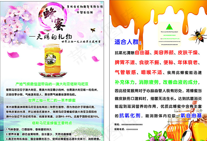 蜂蜜 韩国食品图片cdr矢量模版下载