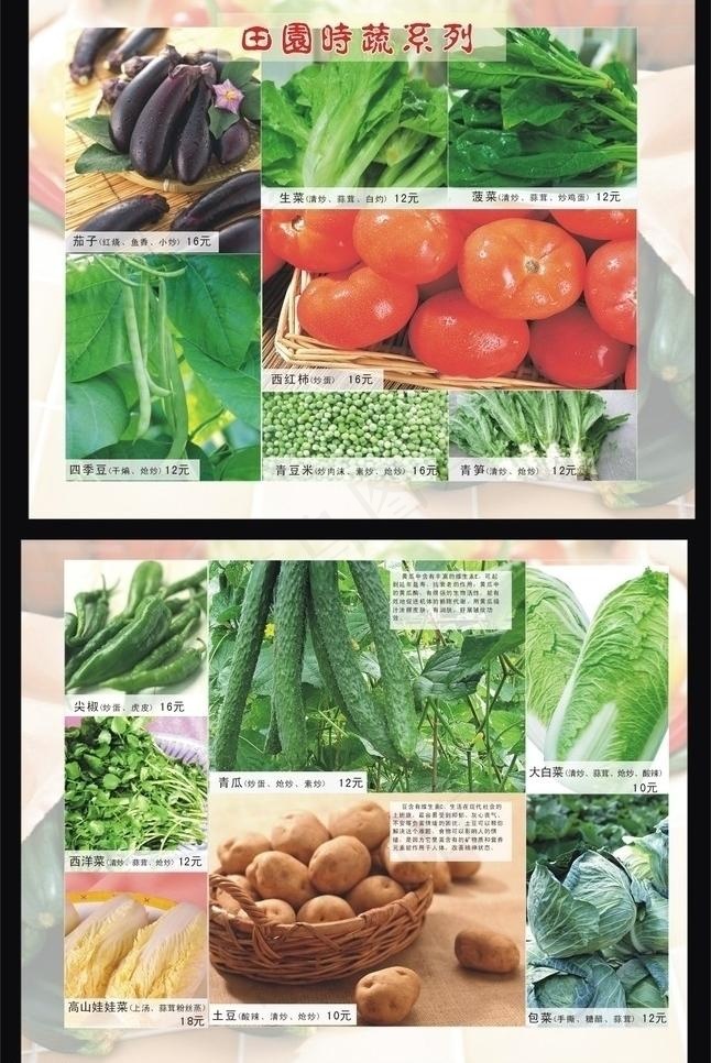 田园蔬菜图片cdr矢量模版下载