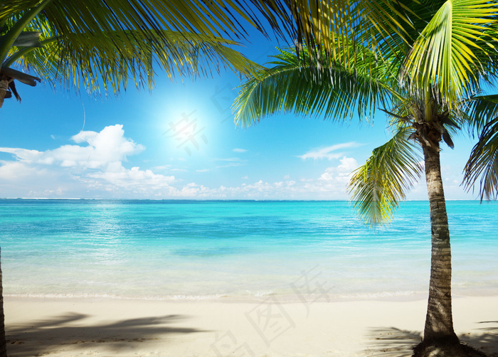 夏日浪漫海滩图片