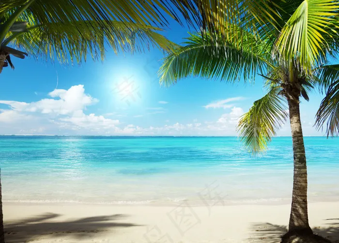 夏日浪漫海滩图片