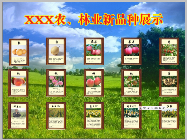 农、林业新品种展示(5669X4252(DPI:72))psd模版下载