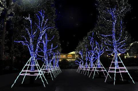 节日气氛灯光夜景树灯