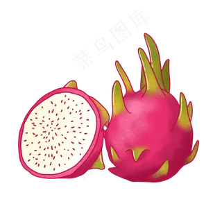 手绘热带水果火龙果插图PNG免手绘热带水果火龙果插图PNG免