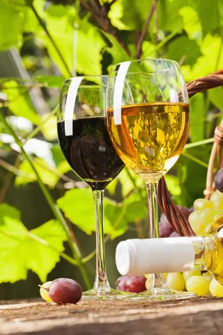 葡萄酒与葡萄背景