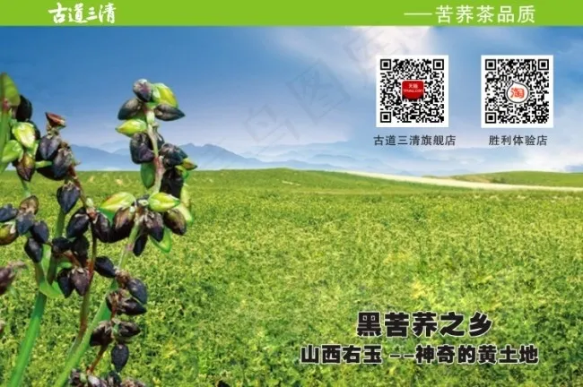 黑苦荞之乡神奇的黑土地cdr矢量模版下载