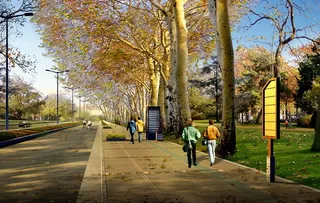 林荫大道秋季效果图PSD分层