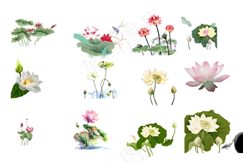 中国风水墨荷莲蓬3