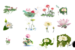 中国风水墨荷莲蓬3