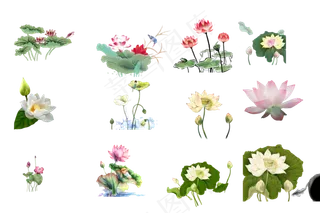 中国风水墨荷莲蓬3