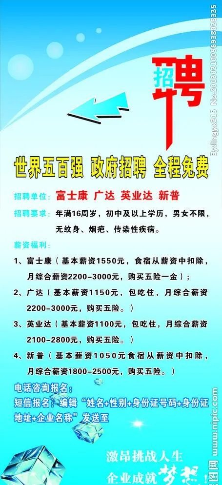 招聘海报cdr矢量模版下载