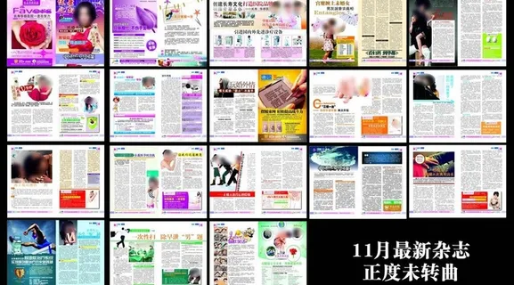 2012年11月最新杂志未转曲图片