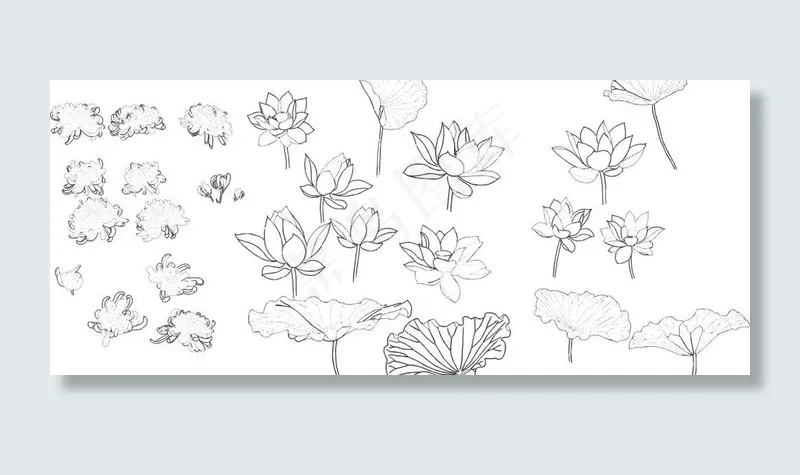 白描荷花菊花图片cdr矢量模版下载