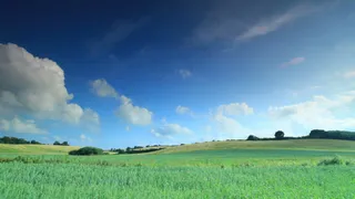 卷草山在哥本哈根，丹麦证券的录像 ...