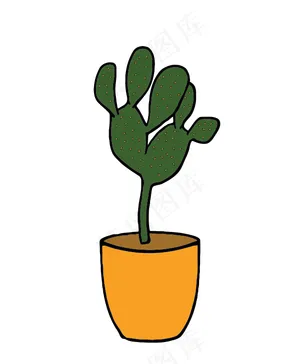 仙人掌植物001