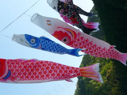 鲤鱼旗图片
