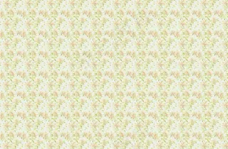 小花图案底纹图片