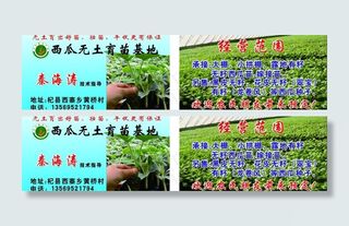 西瓜苗名片图片
