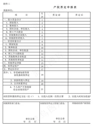 产权界定申报表