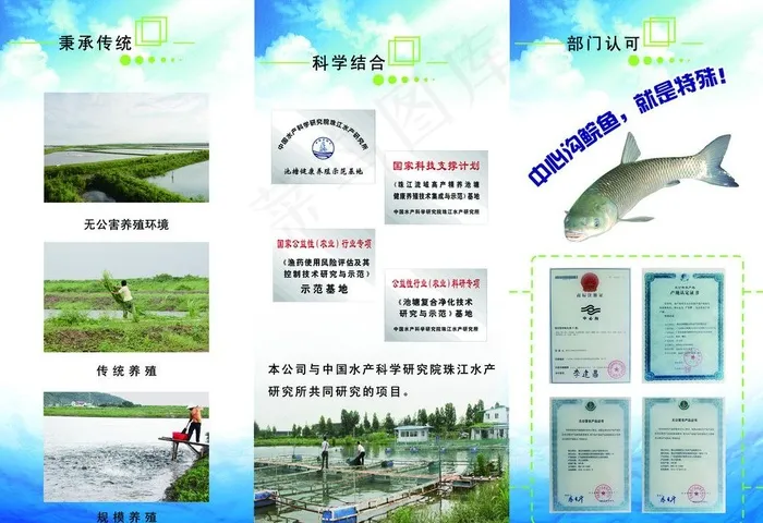 中心沟水产折页图片(3437X2551(DPI:300))psd模版下载