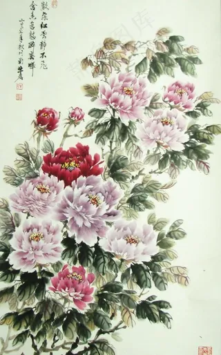 国画牡丹图片