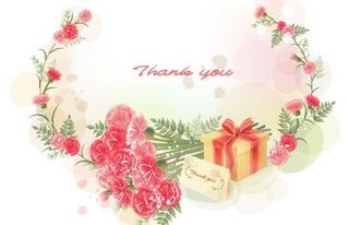 韩国植物装饰边框矢量图50