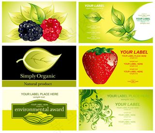 绿色风格名片设计矢量