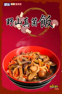 野山真菌饭海报 野山真菌饭海报