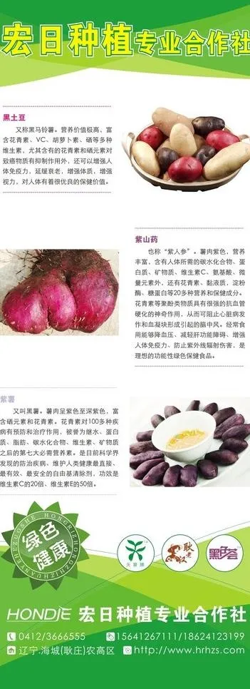 农业易拉宝图片cdr矢量模版下载