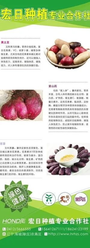 农业易拉宝图片