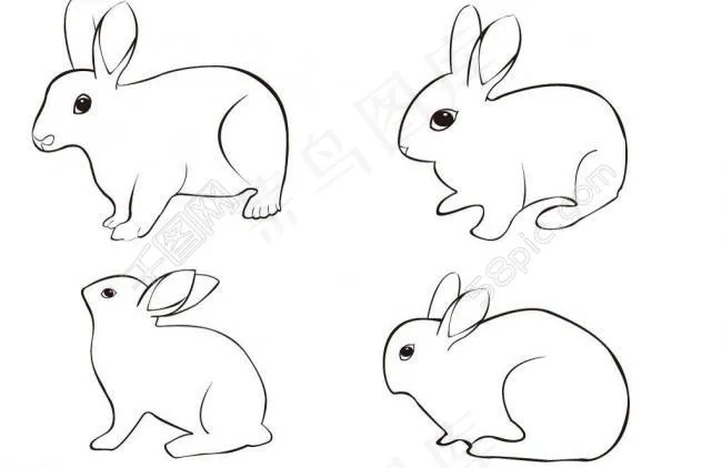 兔子图片eps,ai矢量模版下载