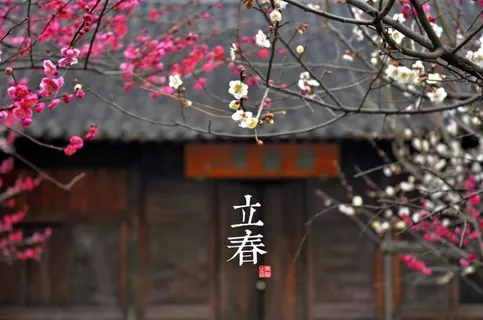 立春二十四节气桃花古屋图片 立春二十四节气桃花古屋图片