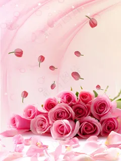 粉色玫瑰花静物设计素材 粉色玫瑰花静物设计素材