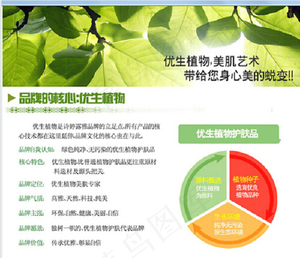 天然护肤品淘宝首页模板psd模版下载